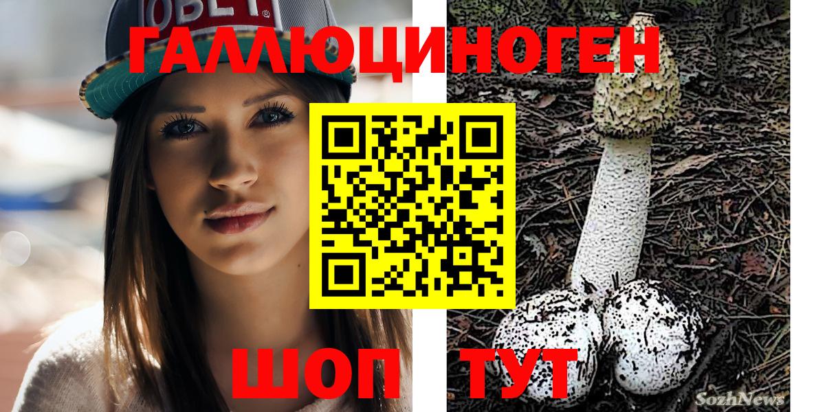 Псилоцибиновые грибы GOLDEN TEACHER  Вход с VPN  Урюпинск 